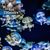Quand Cousteau, Pacha des océans, montrait les richesses de la mer